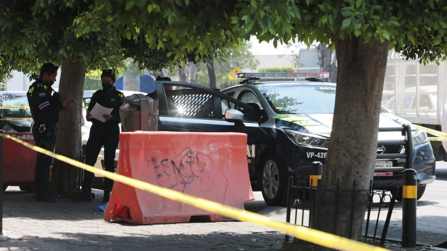 Afuera de edificio de Movilidad hallan bolsa de basura con un feto